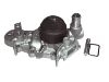 Water Pump:7700 864 596