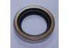 Oil Seal:35010