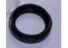 Oil Seal:48023