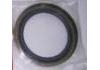 Oil Seal:MH034212